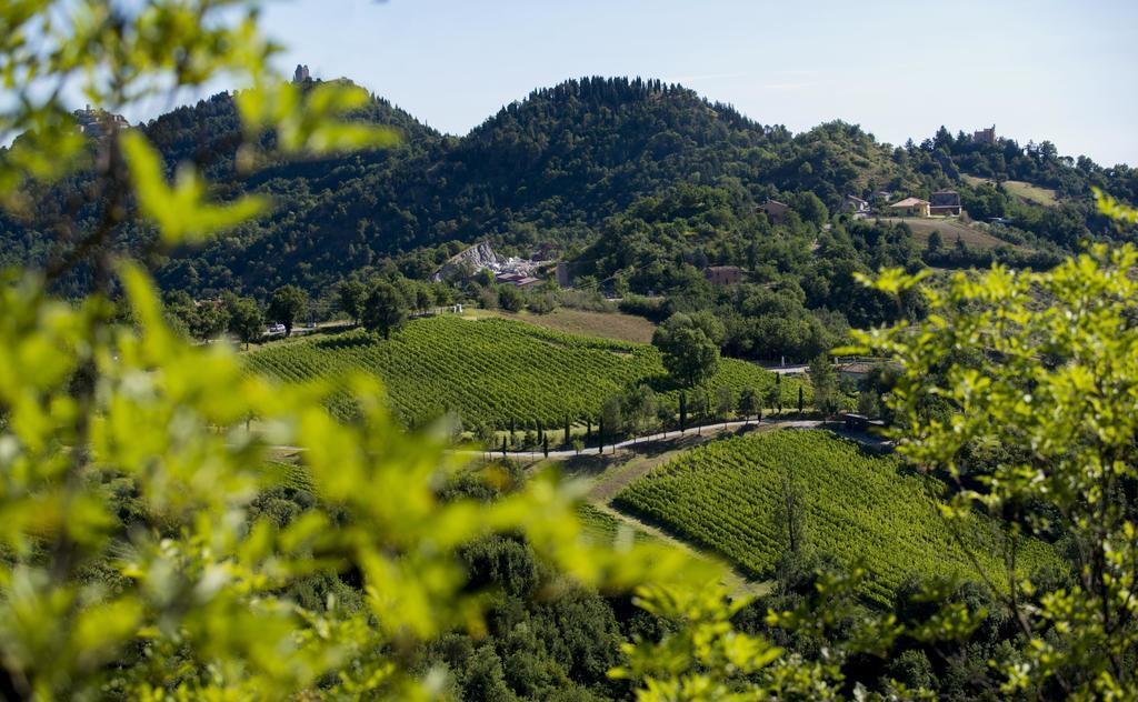 Tenuta Saiano Resort Torriana Exteriör bild
