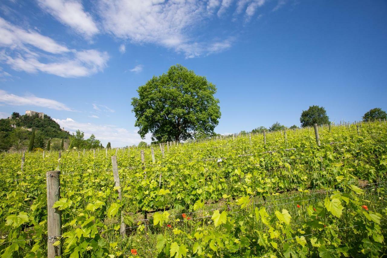 Tenuta Saiano Resort Torriana Exteriör bild